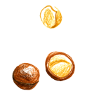 ingedrients1